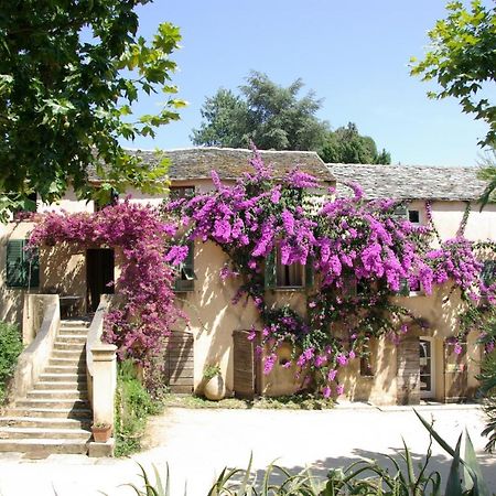 Domaine De Valle Sorbo-Ocagnano Bagian luar foto
